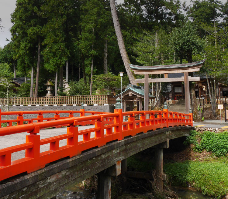 過ごし方・観光情報