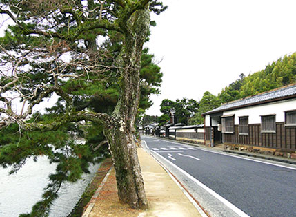画像：塩見縄手（武家屋敷）
