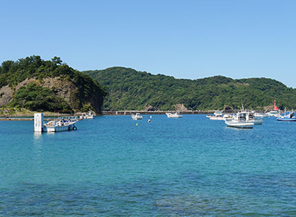 画像：島根半島　桂島