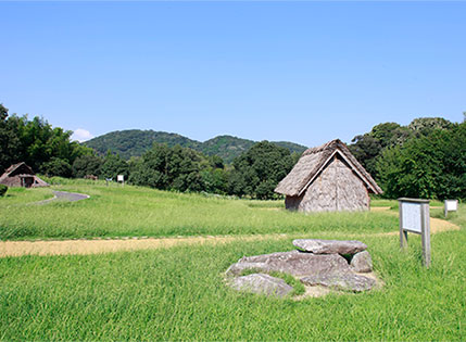 画像：八雲立つ風土記の丘